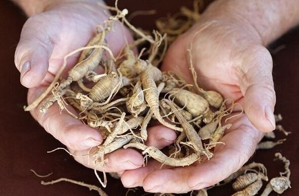 Potency of Ginseng Root
